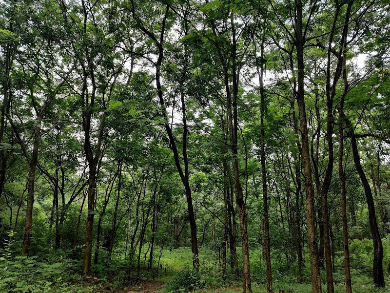 Rose Garden - Rose Garden, VCQ6+H5G Paryawaran Park, TV Tower Rd, Kelo Vihar, Raigarh, Chhattisgarh 496001, India