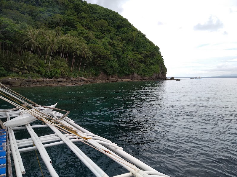 Apo Island View Deck - Apo Island View Deck, 37C9+F7W, Dauin, Negros Oriental, Philippines