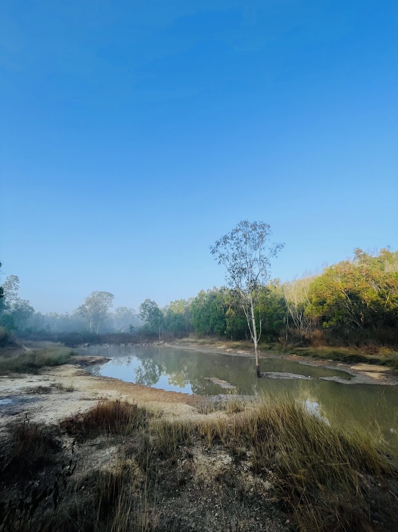 Avalahalli Forest - Avalahalli Forest 4GJW+7J6, Jarakbandekaval, Karnataka 560119, India