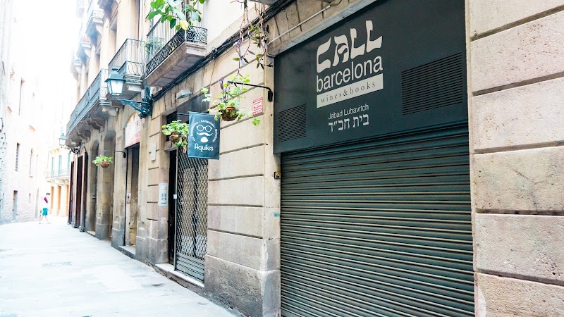 Barcelona Dreaming - Barcelona Dreaming, 3-2, Carrer Vigatans, 8, Ciutat Vella, 08003 Barcelona, Spain