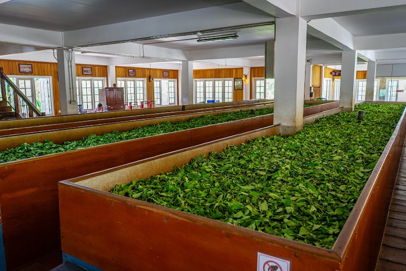 Kadugannawa Tea Factory & Sales Center - Kadugannawa Tea Factory & Sales Center, Kadugannawa, Sri Lanka