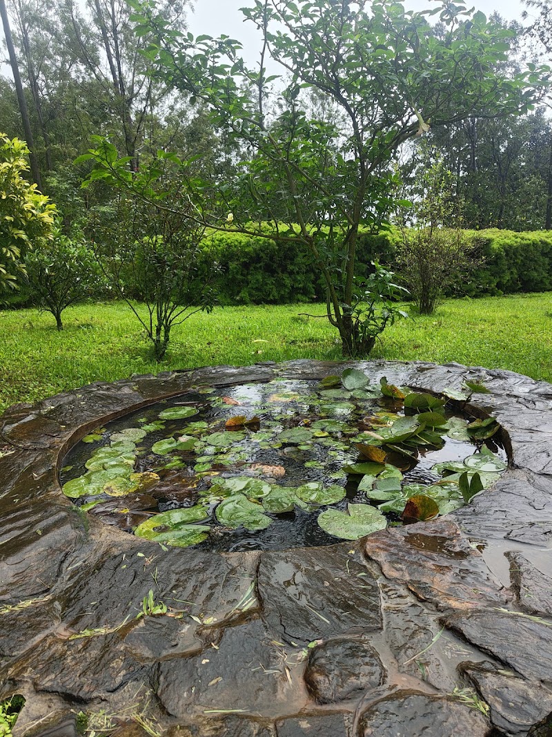 Manikyadhara Homestay - Manikyadhara Homestay 9QR9+99P, Chikkamagaluru, Arasinaguppe, Karnataka 577131, India