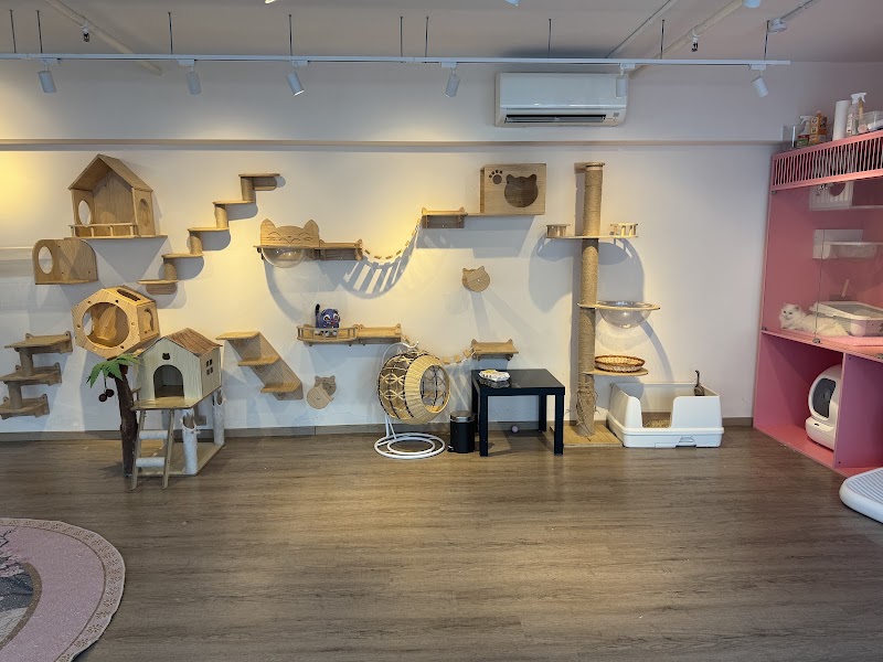 QQ Cats & Cafe - QQ Cats & Cafe 262 Balestier Rd, #01-03, Singapore 329714
