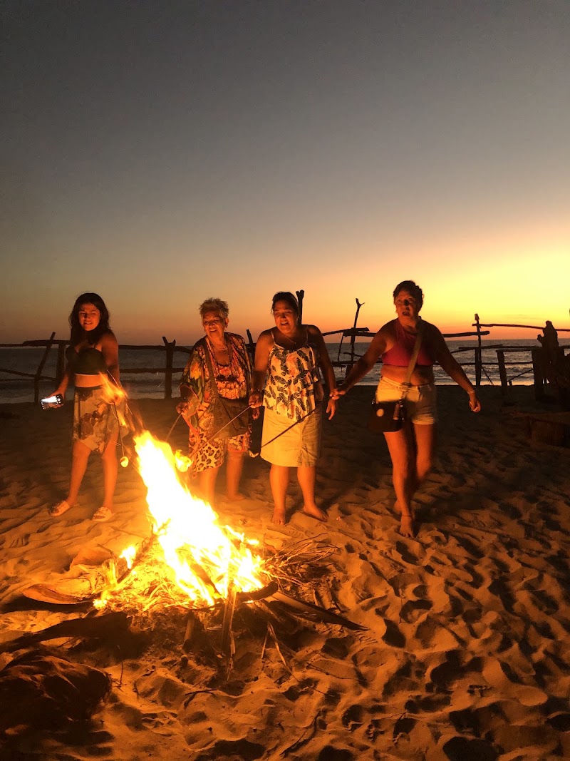 Layo's tours bioluminiscencia