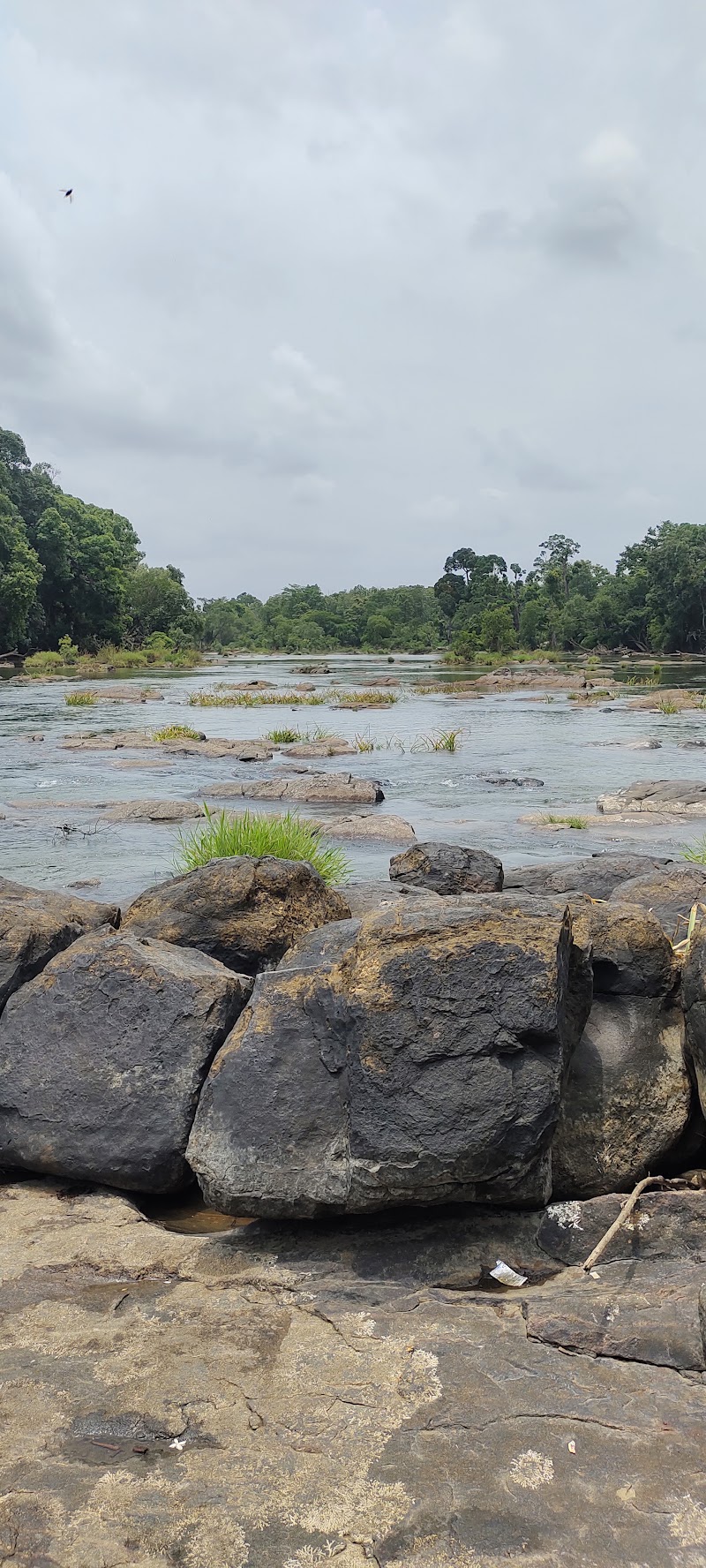 Dubare prestige - Dubare prestige 9WF2+MFC, Nanjarayapatna, Karnataka 571234, India