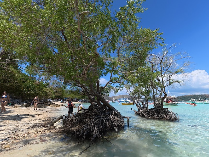 CYC Beach - CYC Beach, Coron Town Proper, Coron, Palawan, Philippines