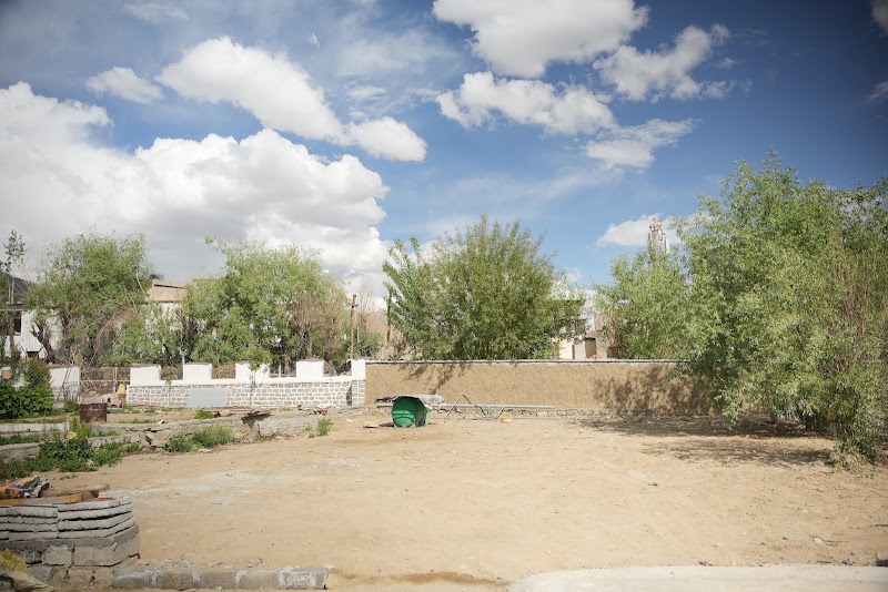 Gultuk Homestay - Gultuk Homestay, Skalzangling, Airport Road, Leh, 194101