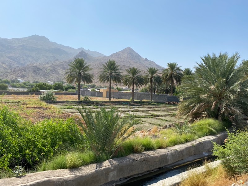 Falaj Daris Park - Falaj Daris Park, Nizwa, Oman