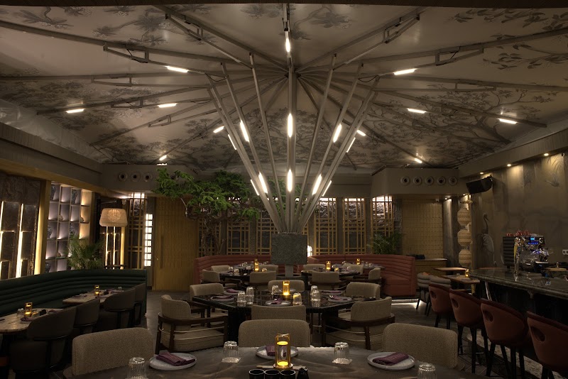 Yazu Pan Asian Experience, Chandigarh - Yazu Pan Asian Experience, Chandigarh SCO 29, Back Side of Shaffa Restaurant, Sector 26, Chandigarh, 160019, India