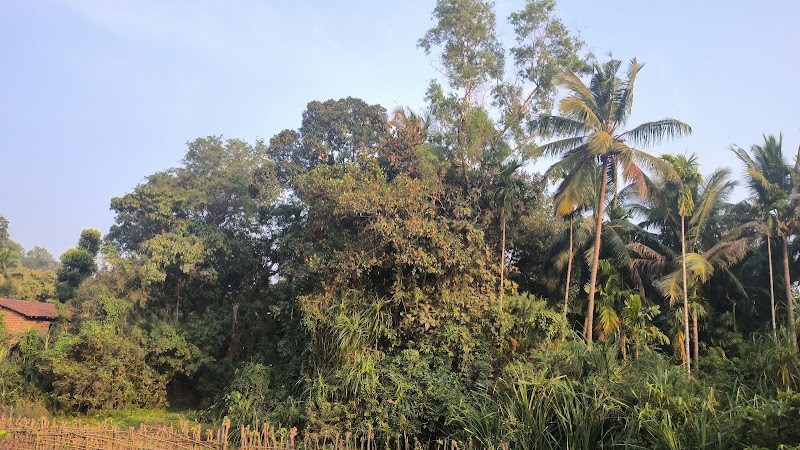 Zariwada Spring Cortali - Zariwada Spring Cortali 647V+QGF, Kotarli, Goa 403704, India