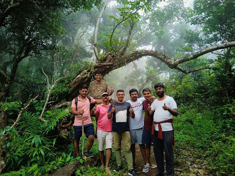 Cauvery Homestay - Cauvery Homestay Virajpet-Talakaveri Rd, Yevakapadi, Karnataka 571212, India