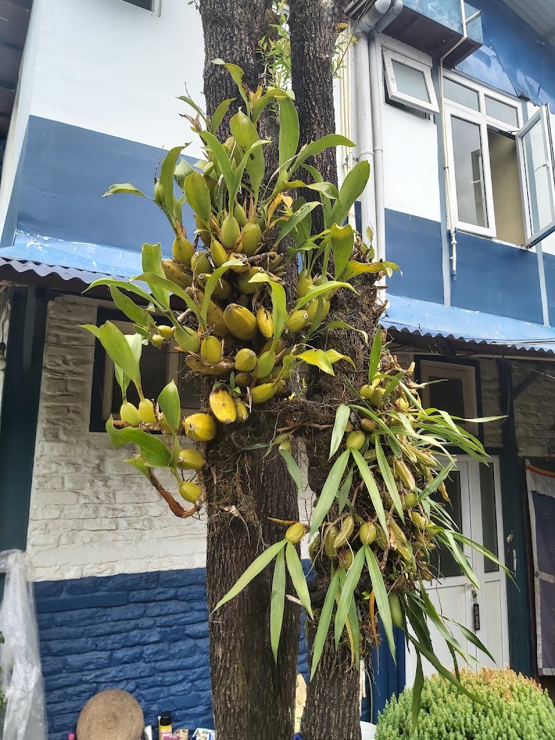 Namaste Guest House