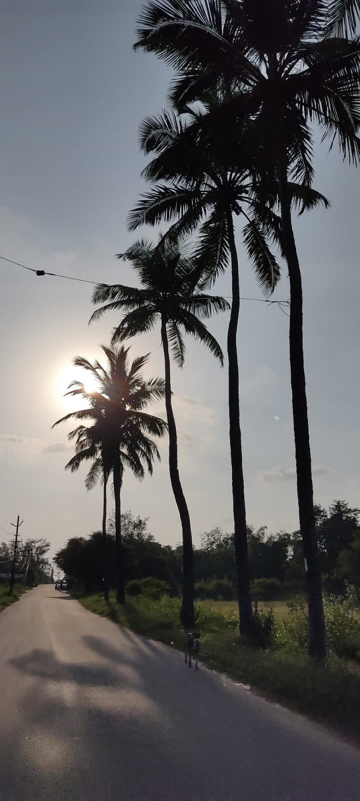 Benaulim - Benaulim Benaulim, Goa, India