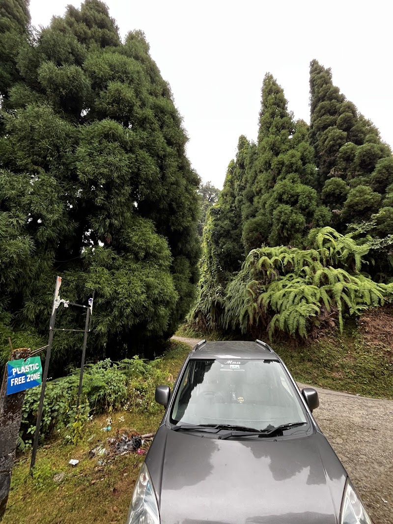 डुवर्स को ग्रीन सिटी Dooars Green City - डुवर्स को ग्रीन सिटी Dooars Green City, Adarshapally Line 2, Banarhat Tea Garden, West Bengal 735203, India