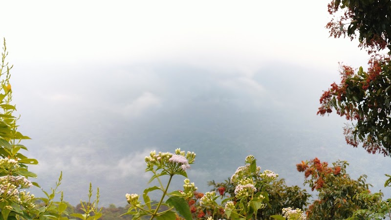 Main View Point - Main View Point PM5F+RJR, SH 85, Bisle State Forest, Karnataka 573123, India