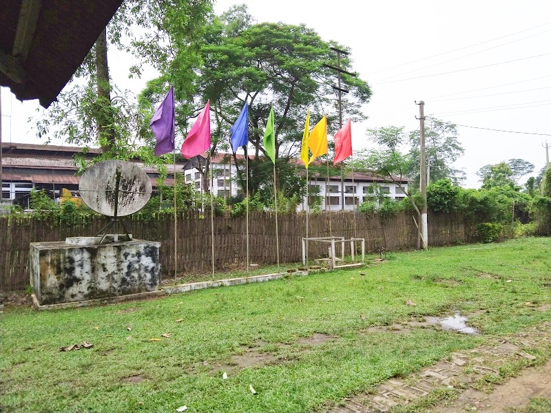Gatoonga Tea Estate - Gatoonga Tea Estate, M43F+F74, Gatoonga, Dholajan Grant, Assam 785616, India