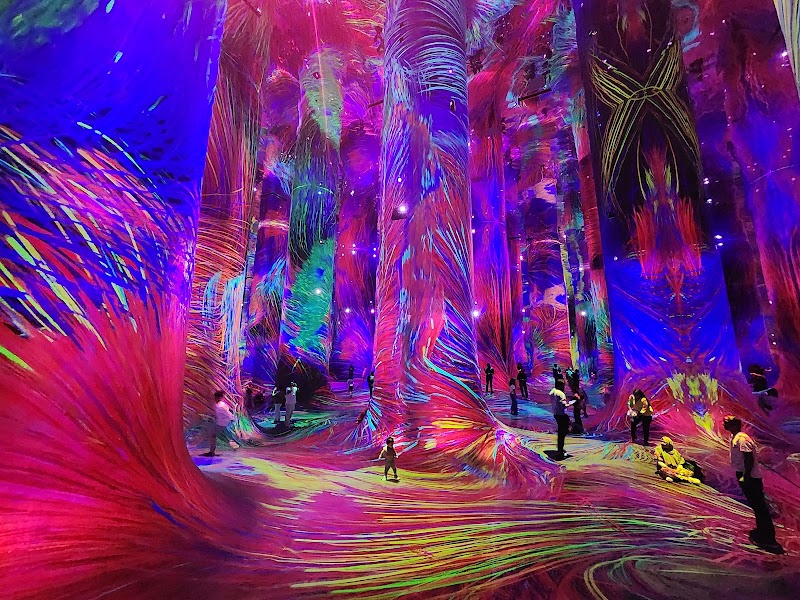 teamLab Phenomena - teamLab Phenomena Al Saadiyat Island - Cultural District - Abu Dhabi - United Arab Emirates