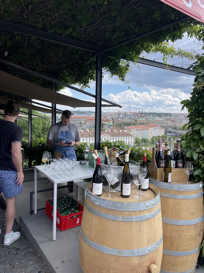 Wine Bar Villa Richter - Wine Bar Villa Richter, Staré zámecké schody 8, 119 00 Praha 1-Hradčany, Czechia