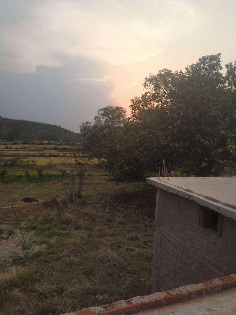 MULLEGUDA PIG FARM - MULLEGUDA PIG FARM, J6PQ+PQ, Mullegura, Chhattisgarh 491227, India