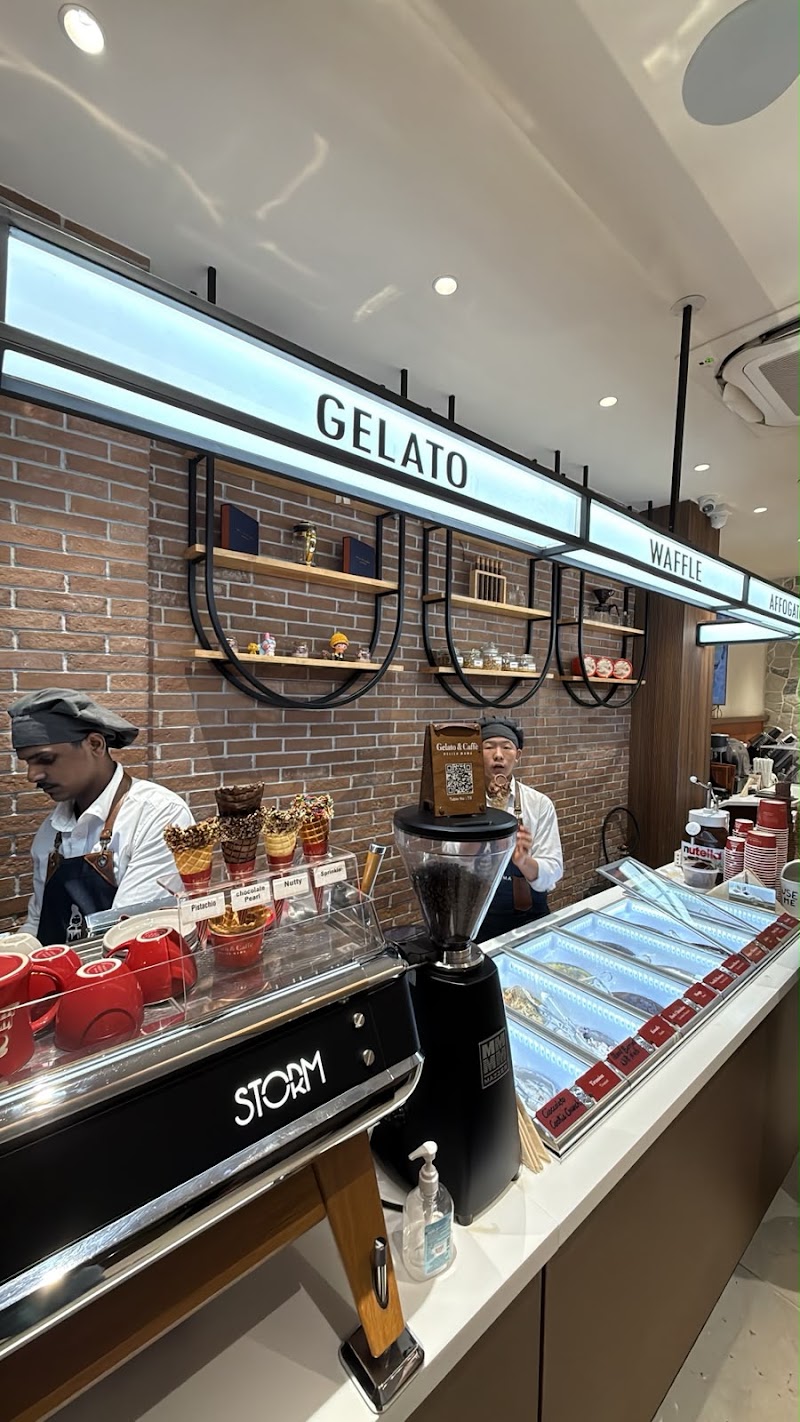 Delish Mama - Gelato & Cafe - Delish Mama - Gelato & Cafe Pocket E, F 14/14, Model Town Phase 2, Pocket E, Model Town Phase I, Model Town, New Delhi, Delhi, 110033, India