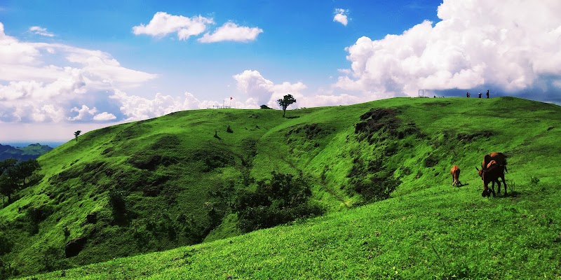 Tungai Hill Station - Tungai Hill Station QPR7+CP3, Bhangda Faliyu, Gujarat 393040, India