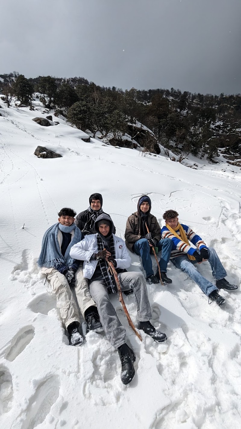 Khaliya Top Munsyari Camping - Khaliya Top Munsyari Camping Track to Khalia Top, Khaliya, Uttarakhand 262554, India