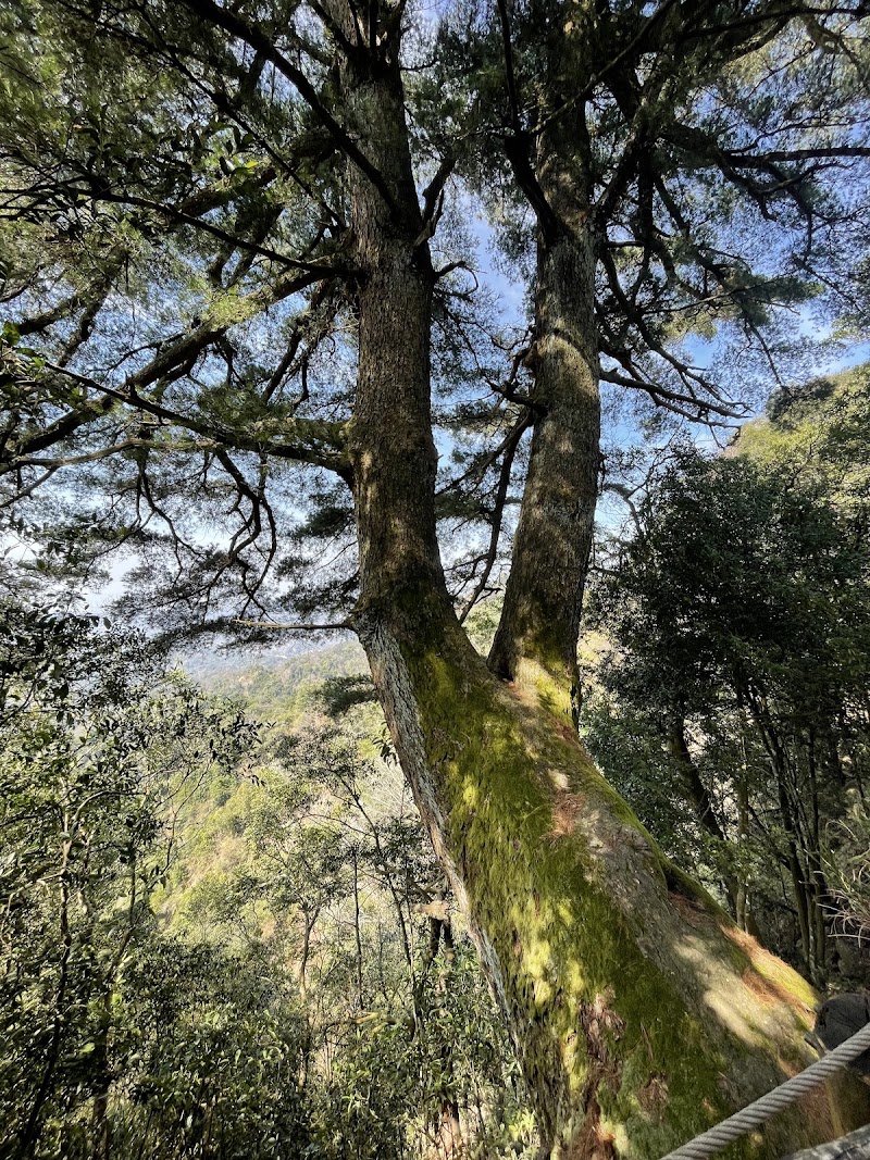 Dakeng Trail No. 4 - Dakeng Trail No. 4, Minzheng Village, Beitun District, Taichung City, Taiwan 406