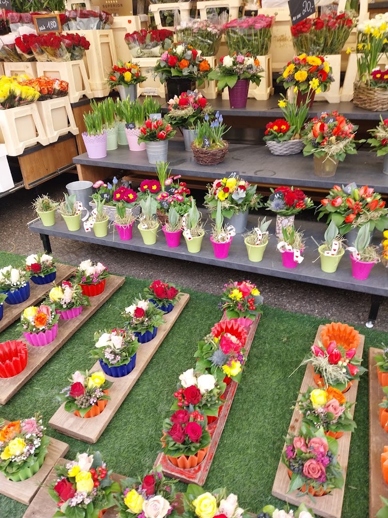 Blumen Sappi - Blumen Sappi Grünmarkt vor der Kirche, Universitätspl., 5020 Salzburg, Austria