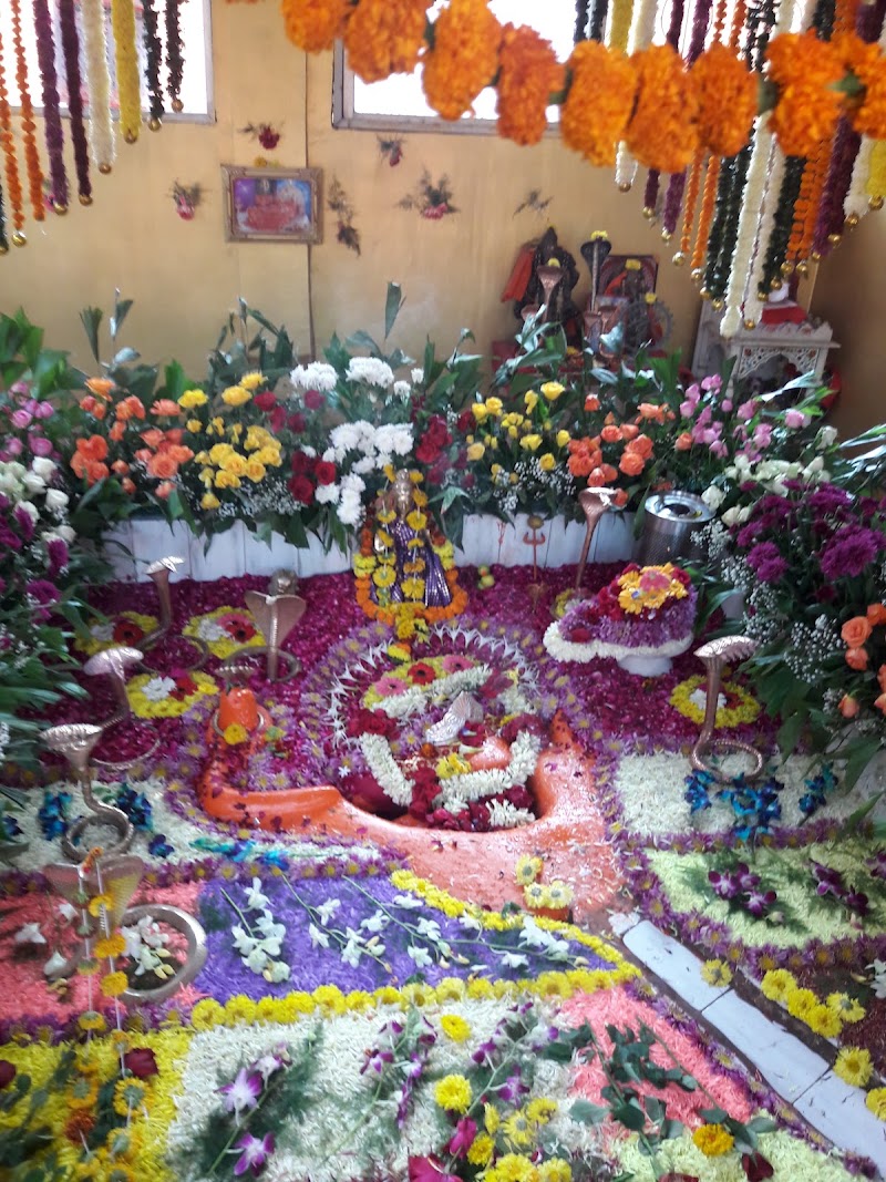 Ratnakala Balraj Trust Nag Baba Temple - Ratnakala Balraj Trust Nag Baba Temple, 4X4X+PJM, Hingna Rd, IC Chowk, Gagam Layout, Lokmanya Nagar, Nagpur, Maharashtra 441110, India