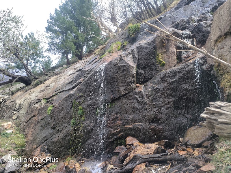 Pangi - Pangi, Himachal Pradesh 176323, India