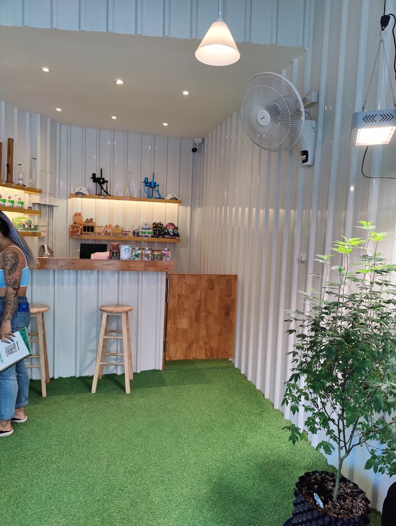 Thai Cannabis Club - Soi 7 - Thai Cannabis Club - Soi 7, Soi Sukhumvit 7, Khwaeng Khlong Toei, Watthana, Krung Thep Maha Nakhon 10110, Thailand