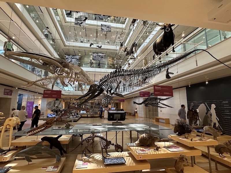 MUSE - Science Museum - MUSE - Science Museum Corso del Lavoro e della Scienza, 3, 38122 Trento TN, Italy