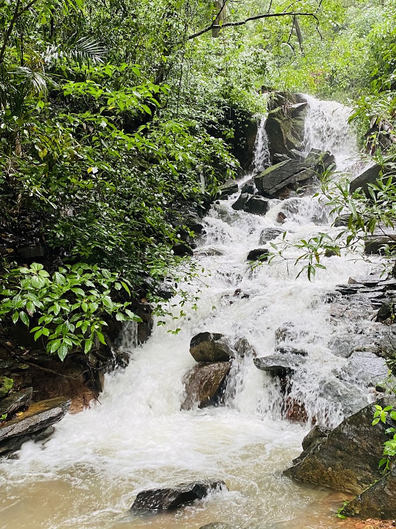 Vibhuthi Falls - Vibhuthi Falls Vibhuthi Falls, Achave, Karnataka 581344