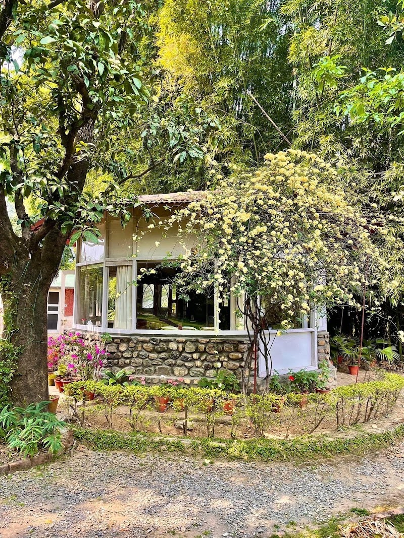 Nirvana Orchards (Rana Farms) - Nirvana Orchards (Rana Farms), 93M5+XPG, Malsi, Dehradun, Uttarakhand 248003, India