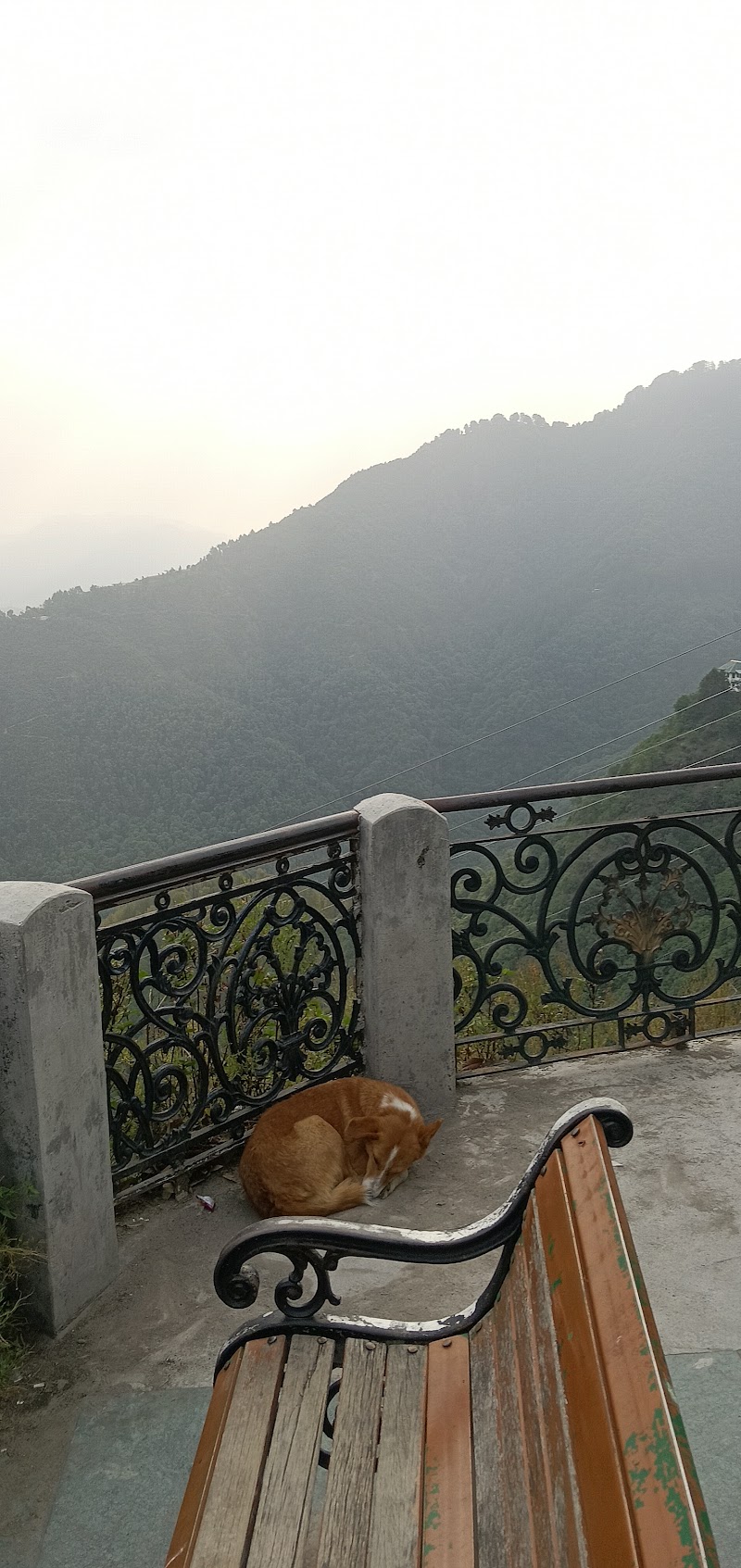 Camel’s back view - Camel’s back view F35G+M35, Jhula Ghar, The Mall Road, Mussoorie, Uttarakhand 248179, India
