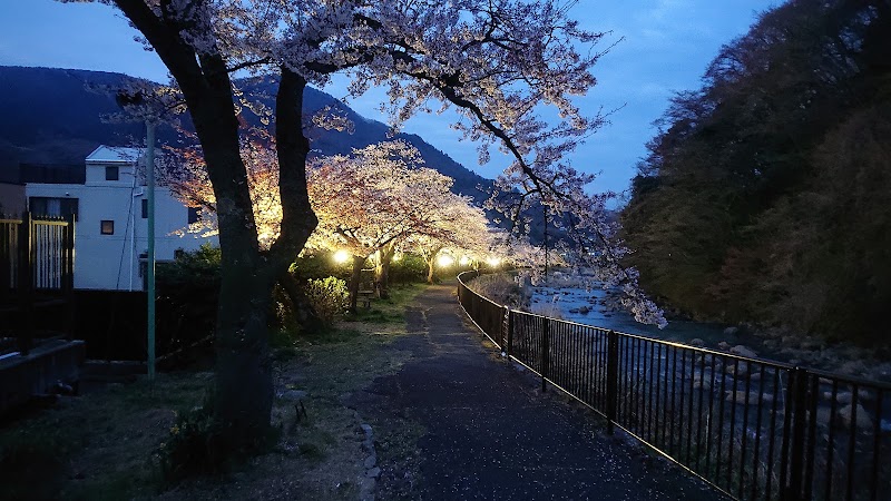 Miyagino - Miyagino, Hakone, Ashigarashimo District, Kanagawa 250-0401, Japan