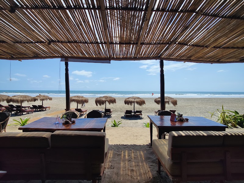 Ashwe 351 Beach Bar & All Day Dining - Ashwe 351 Beach Bar & All Day Dining House no 351, Ashvem Beach, Palma Beach resort, Mandrem, Goa 403527, India