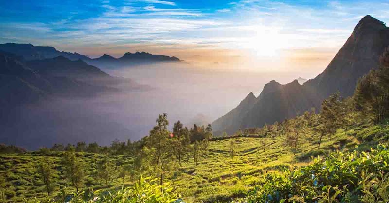 Suryanelli Kolukkumalai Road - Suryanelli Kolukkumalai Road 27C5+WC, Bodi Hill North, Tamil Nadu 685618, India