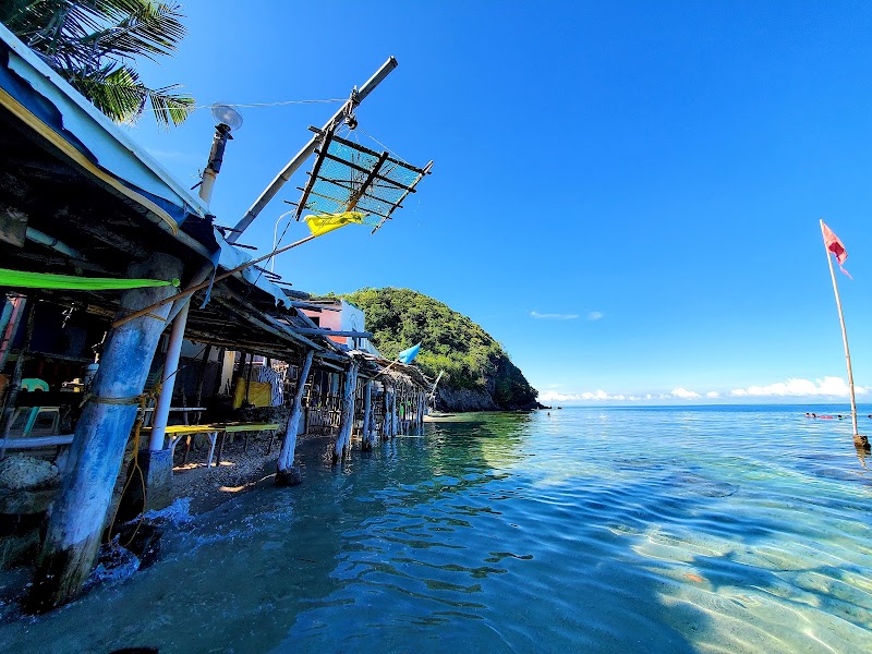 Apo Island Marine Sanctuary - Apo Island Marine Sanctuary, Philippines