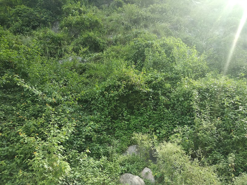 Crocodile view point - Crocodile view point, J34R+5FG, NH309, Marchula, Ghiroli, Uttarakhand 263646, India