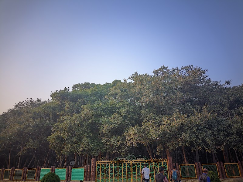 The Great Banyan Tree - The Great Banyan Tree B. Garden New Gate, Shibpur, Howrah, West Bengal 711103, India
