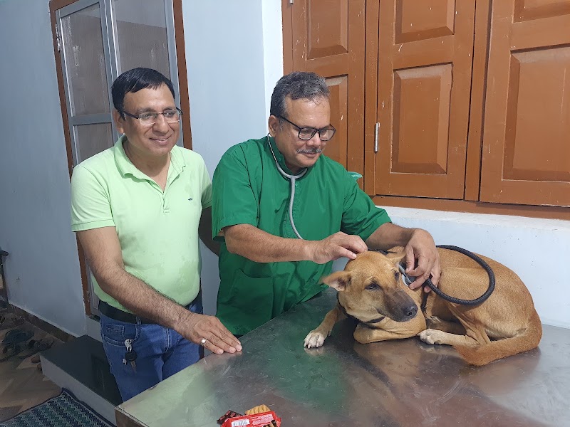 SN Pet Clinic - SN Pet Clinic, Ward No. 18, Ambedkar chowk, Sailashree Vihar, Bargarh, Dang, Odisha 768038, India