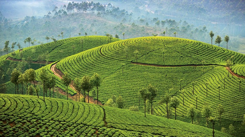 Kerala Tourism Information