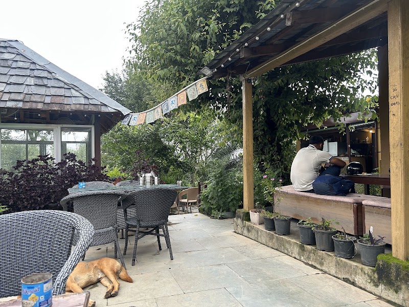 Silver Linings Cafe
