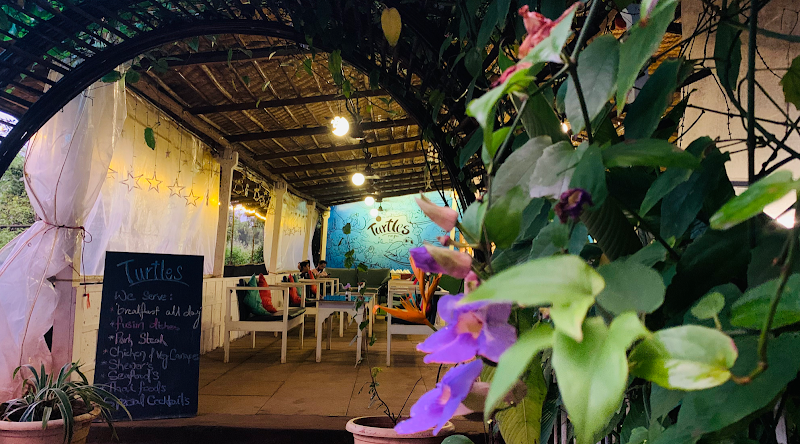 Turtles Restaurant & Bar - Turtles Restaurant & Bar Turtle, Beach Road, Tembwada, Morjim, Goa 403512, India