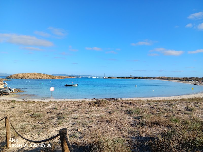 Marina La Savina - Marina La Savina, Puerto de la Savina – Dársena de poniente s/n, 07870 La Savina, Illes Balears, Spain