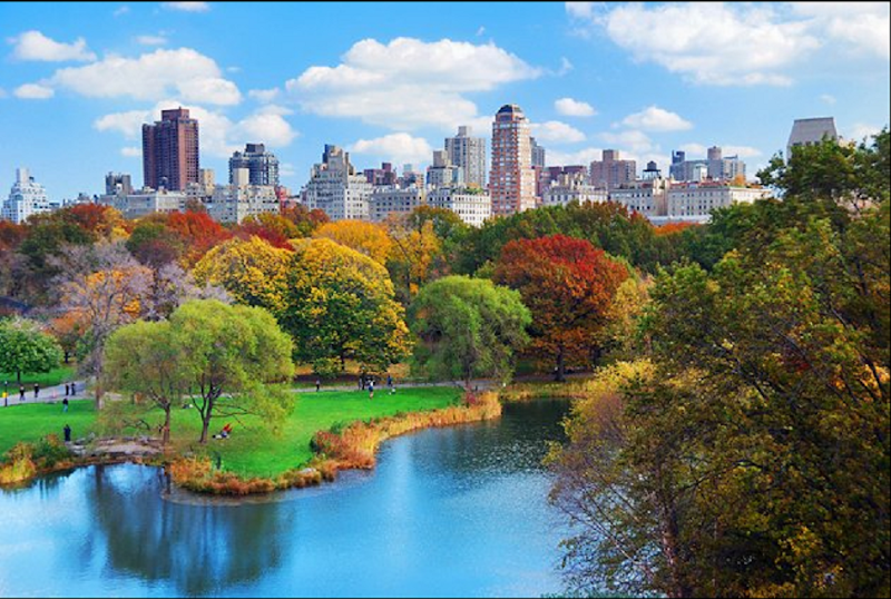 Central Park - Central Park New York, NY, USA