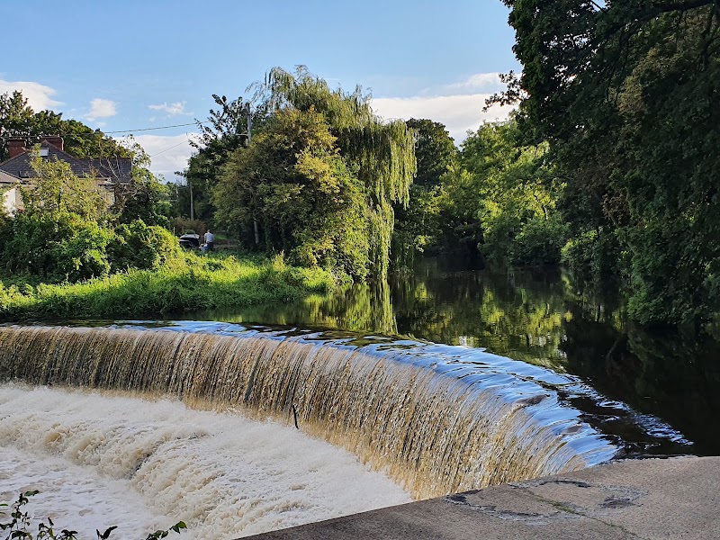 Dartry Park
