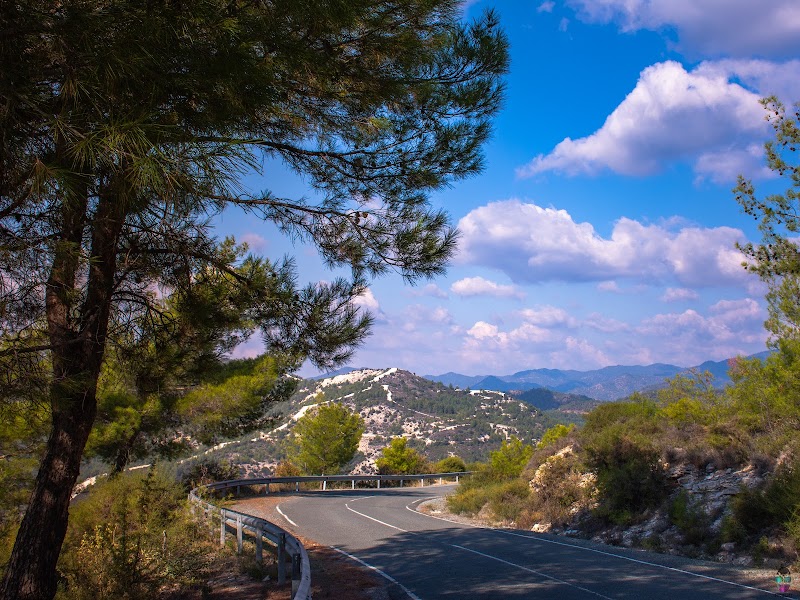Troodos Mountains