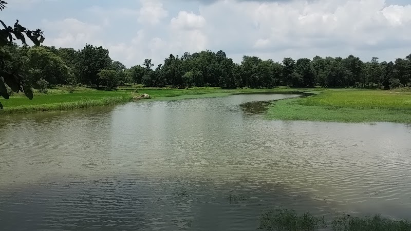 Bhanpur gp tikrapada - Bhanpur gp tikrapada, Tikrapada, Bhanpur, Odisha 766104, India